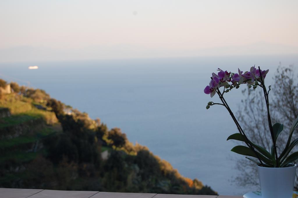 Tenuta Mamma Carmela Amalfi Luaran gambar